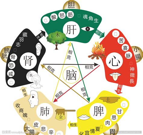 木生金|五行为什么会相生相克？原理是什么？